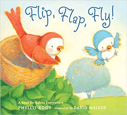 Fly Guy